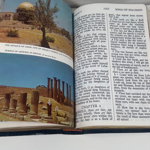 Riverside Giant Print Red Letter Edition Bible King James Version Pic Edition - Picture 5 of 16